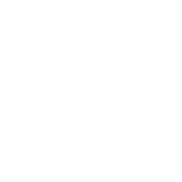 Surface In